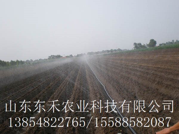 Чˮһ廯